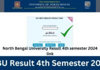 NBU Result 4th Semester 2024: www.nbu.ac.in result 4th Sem 2024 Check