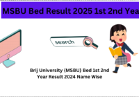 MSBU Bed Result 2025 1st 2nd Year